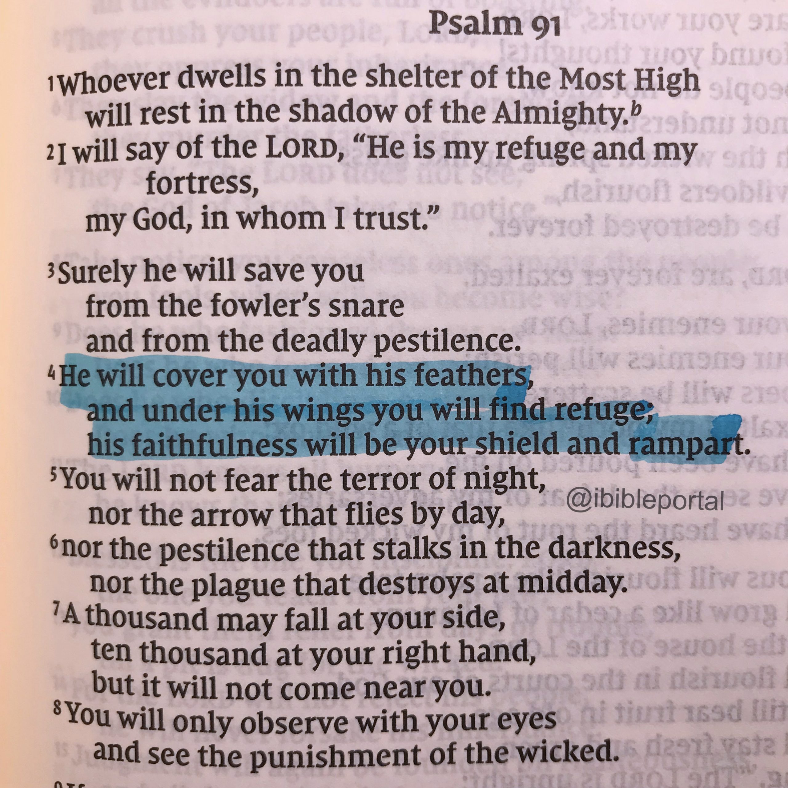 Psalm 91 4 NIV Bible Portal