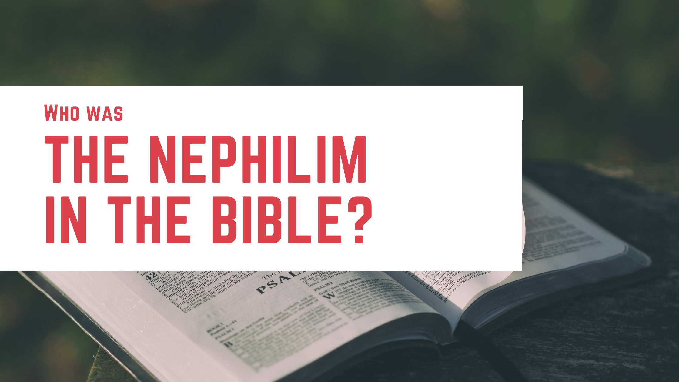 Who were the Nephilim in the Bible? - Bible Portal